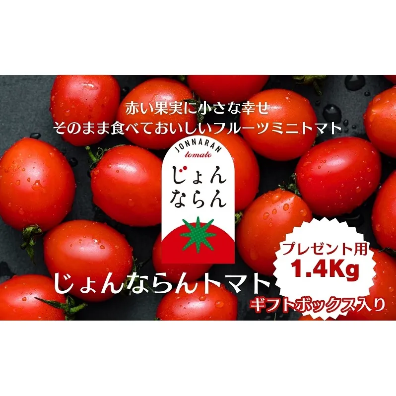 モリヒロ園芸が育てたじょんならんトマト（ギフトボックス入り） 野菜 ミニトマト サラダ 糖度高め 甘味 酸味 リコピン 