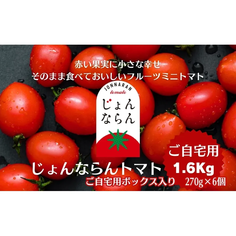 モリヒロ園芸が育てたじょんならんトマト（ご自宅用ボックス） 野菜 ミニトマト サラダ 糖度高め 甘味 酸味 リコピン