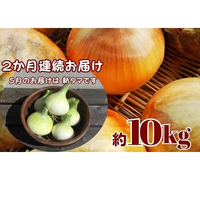 観音寺産採れたての たまねぎ　約10kg（2ヵ月連続お届け） 野菜 玉ねぎ タマネギ 