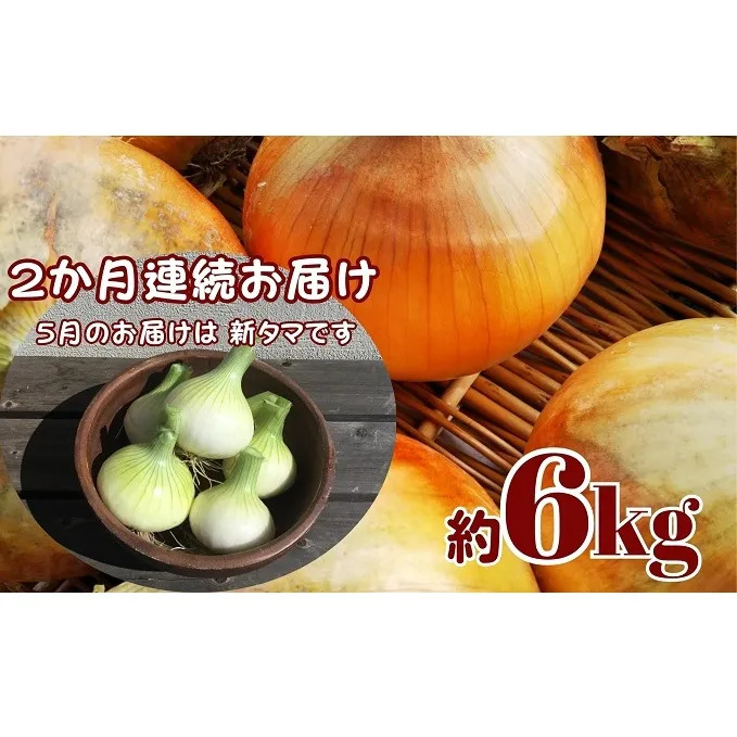 観音寺産 採れたての たまねぎ　約6kg（2ヵ月連続お届け） 野菜 玉ねぎ タマネギ 