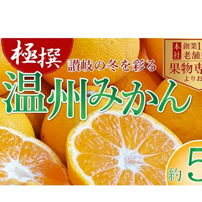 【2025年11月上旬より順次発送】極撰！温州みかん 約5kg 果物 柑橘 フルーツ 程よい酸味 ジューシー 甘い 国産 日本産 冬の味覚 冬の果物 冬のフルーツ