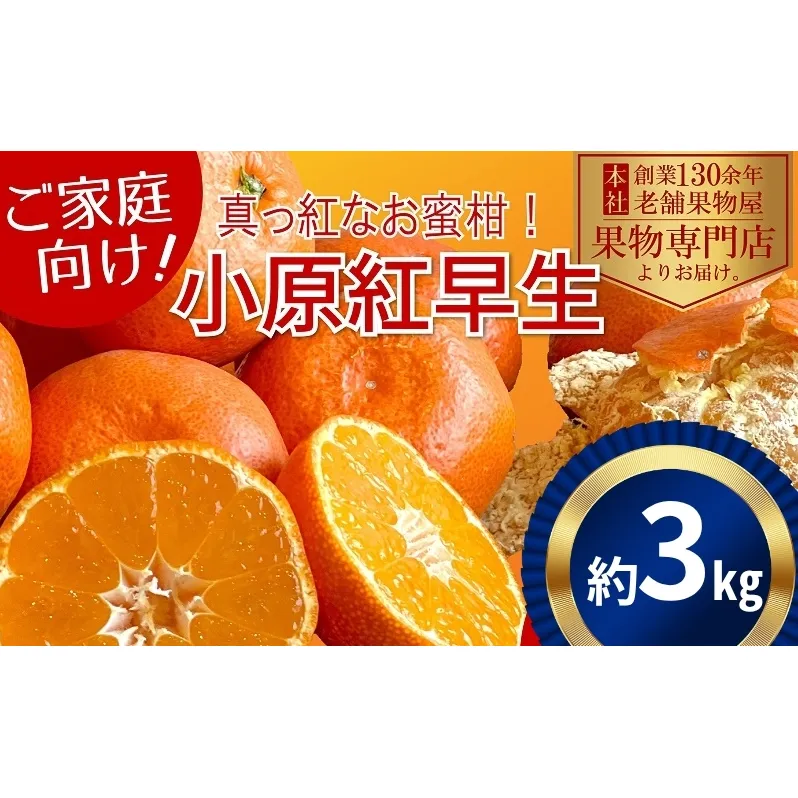 【2025年11月中旬より順次発送】ご家庭用！真っ赤なみかんの小原紅早生　約3kg 果物 フルーツ 柑橘 デザート おやつ 食後 国産 日本産 産地直送 香川オリジナル品種 食べ物