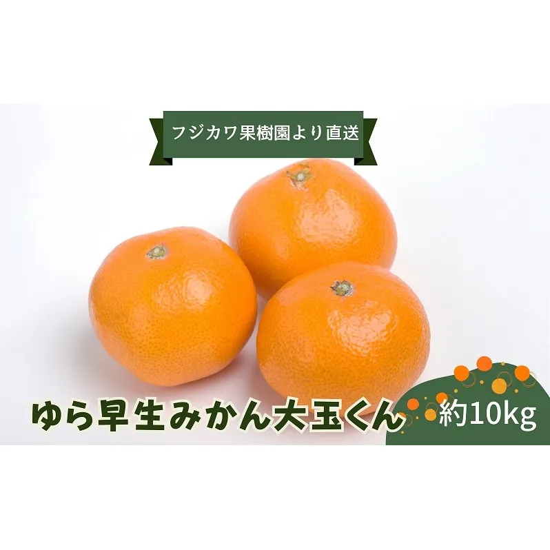 2025年秋よりお届け ゆら早生みかん　大玉くん　10kg 果物類 柑橘類 フルーツ ミカン 蜜柑 くだもの 