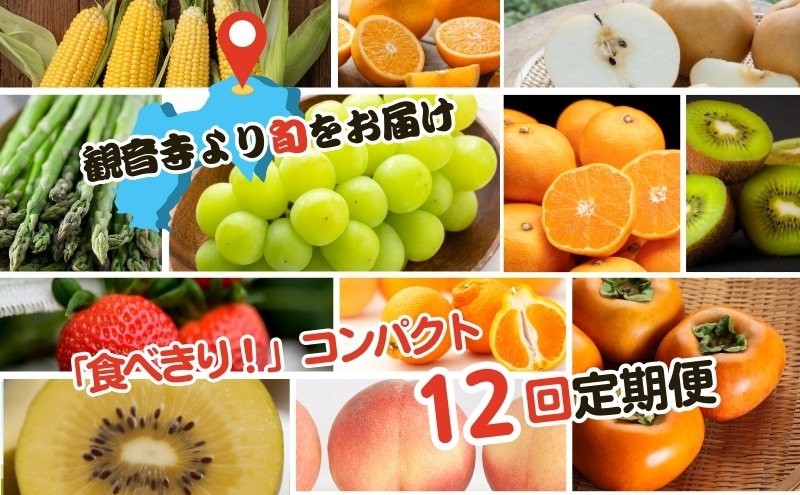 2025年受付】ご家庭用 食べきり 旬菜旬果フルーツ定期便 全12回 2025年受付】ご家庭用 食べきり 旬菜旬果フルーツ定期便 全12回