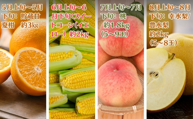 2025年受付】ご家庭用 食べきり 旬菜旬果フルーツ定期便 全12回 2025年受付】ご家庭用 食べきり 旬菜旬果フルーツ定期便 全12回
