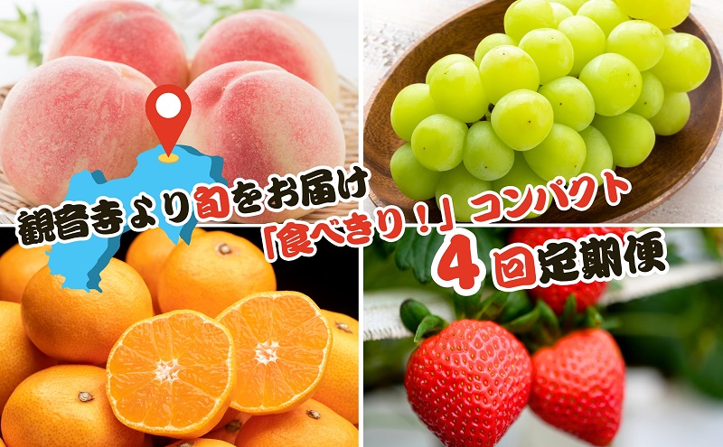 2025年受付】ご家庭用 食べきり 旬果フルーツ定期便 全4回 2025年受付】ご家庭用 食べきり 旬果フルーツ定期便 全4回
