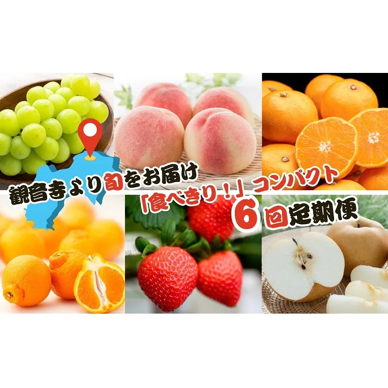 【2025年受付】ご家庭用 食べきり 旬果フルーツ定期便 全6回 