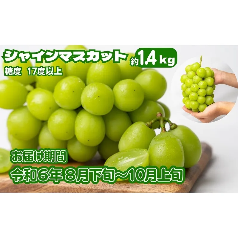 《鮮度抜群》シャインマスカット 約1.4kg 2～4房入り ぶどう 香川県産 種なし 果物