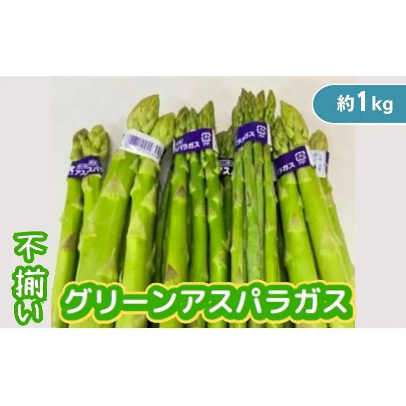不揃い グリーン アスパラガス 約1kg 野菜 グリーンアスパラガス 