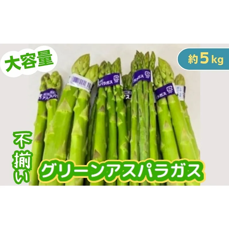 不揃い グリーン アスパラガス 約5kg 野菜 グリーンアスパラガス 