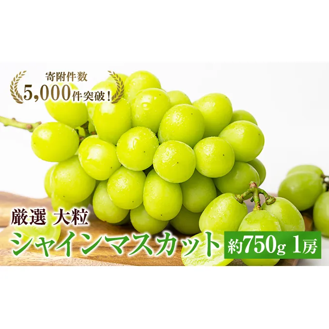 大粒 特選 大房シャインマスカット 約750g 1房 ぶどう 果物 フルーツ 種なし 