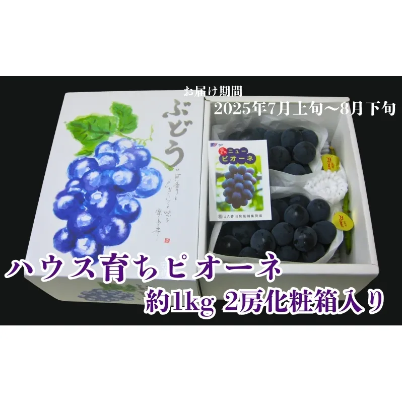 ハウス育ち ピオーネ 約1kg 2房化粧箱入り 果物 ぶどう ブドウ フルーツ 