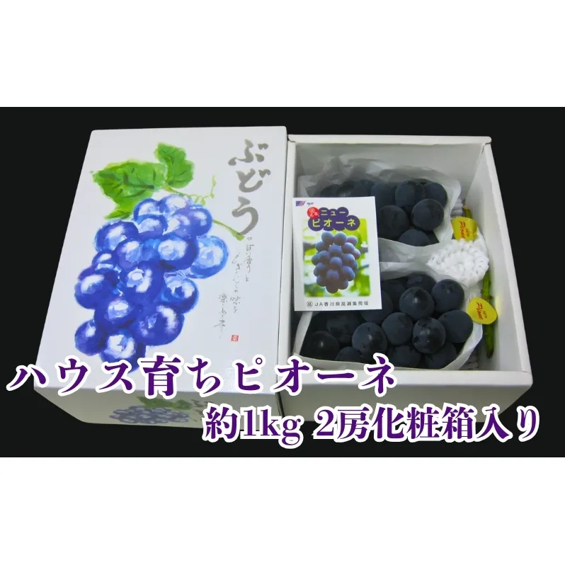 ハウス育ち ピオーネ 約1kg 2房化粧箱入り 果物 ぶどう ブドウ フルーツ 