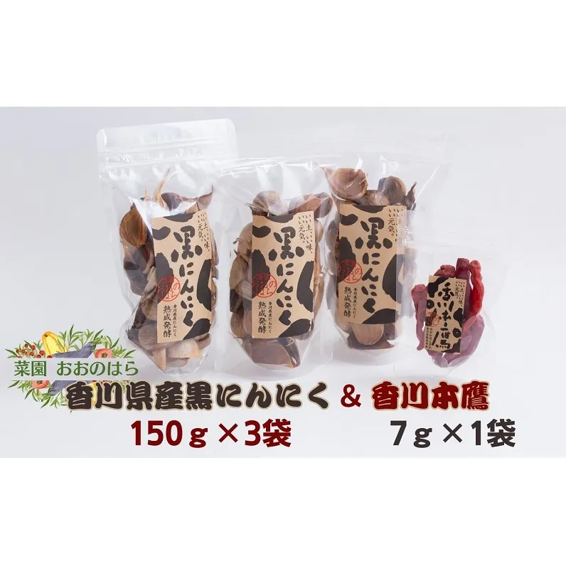 香川県産黒にんにくと香川本鷹セット 加工食品 食材 食卓 小分け 熟成 伝統野菜 香川県産香川本鷹 