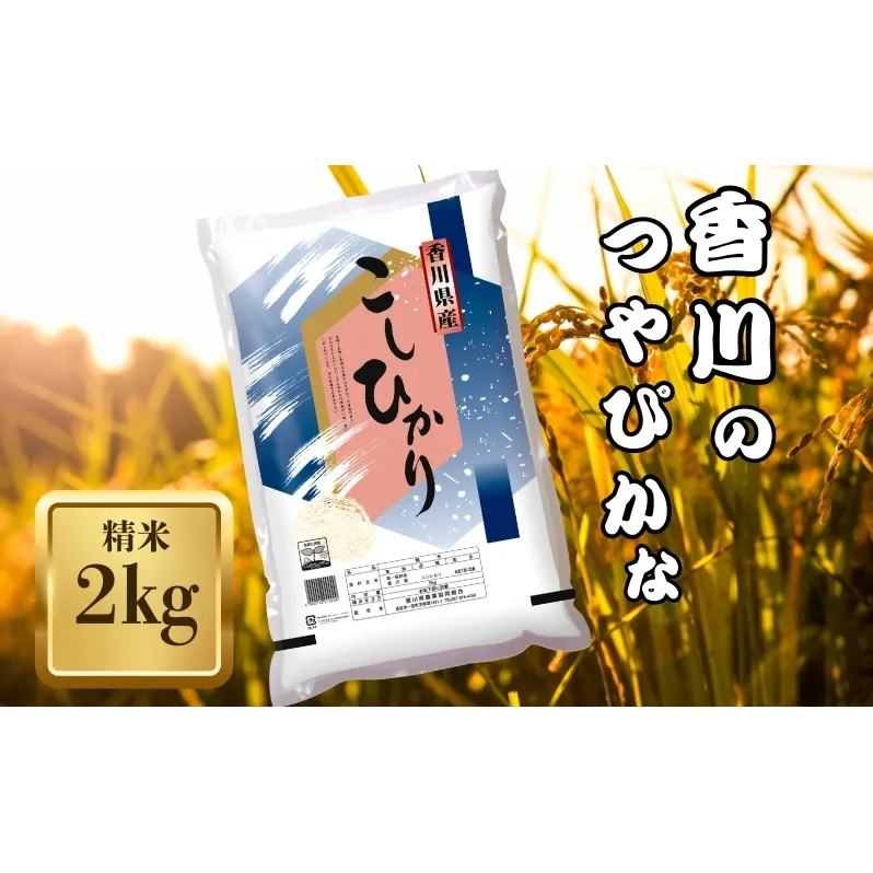 【令和7年産】　香川県産 コシヒカリ 2kg お米 精米