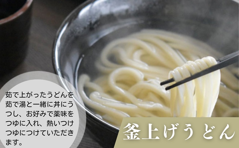 さぬきうどん半生(つゆパック付)(30人前) 讃岐うどん 半生 さぬきうどん半生(つゆパック付)(30人前) 讃岐うどん 半生