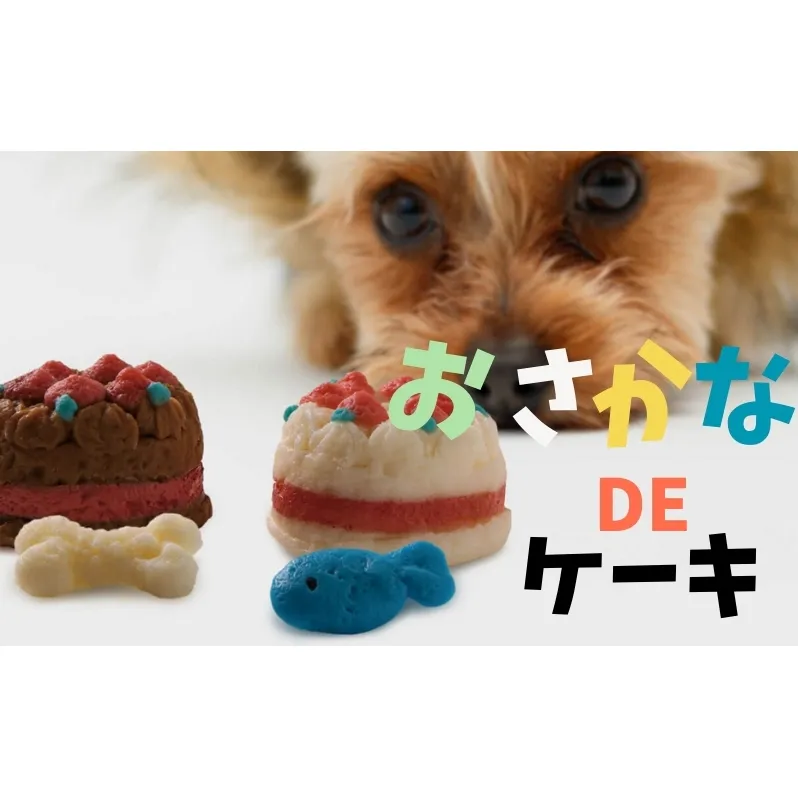 ペット用 おさかなDEケーキ (2個) ペットフード ペット用品 ケーキ 犬 猫 誕生日 おやつ