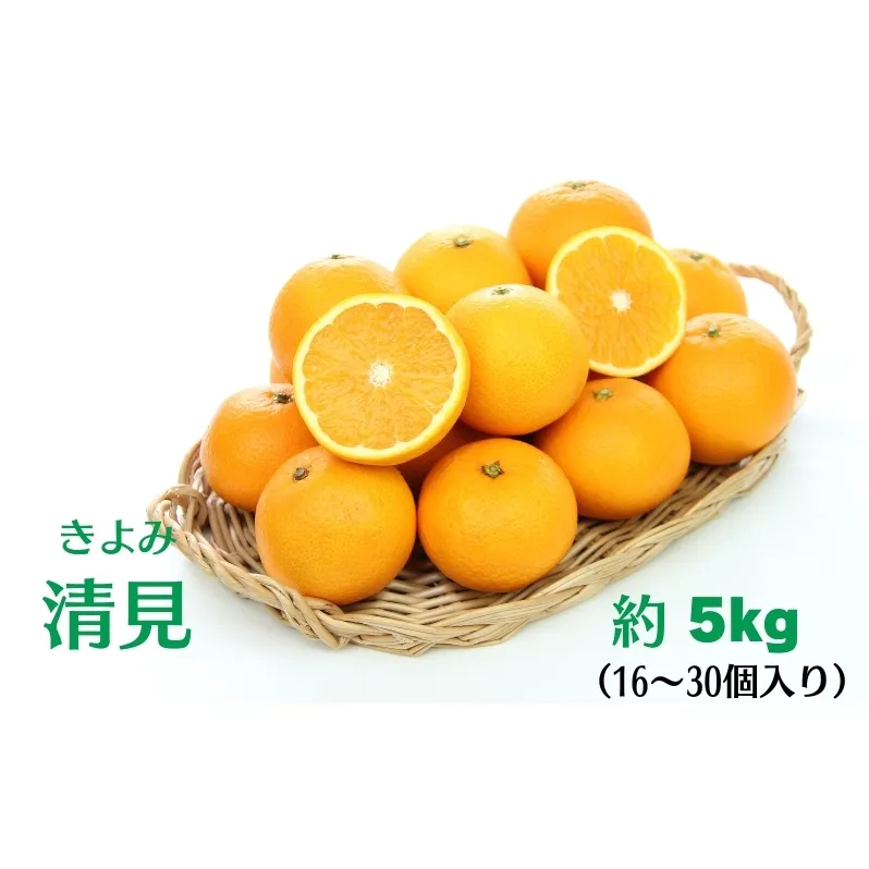 清見 約5kg 果物類 柑橘類 フルーツ みかん