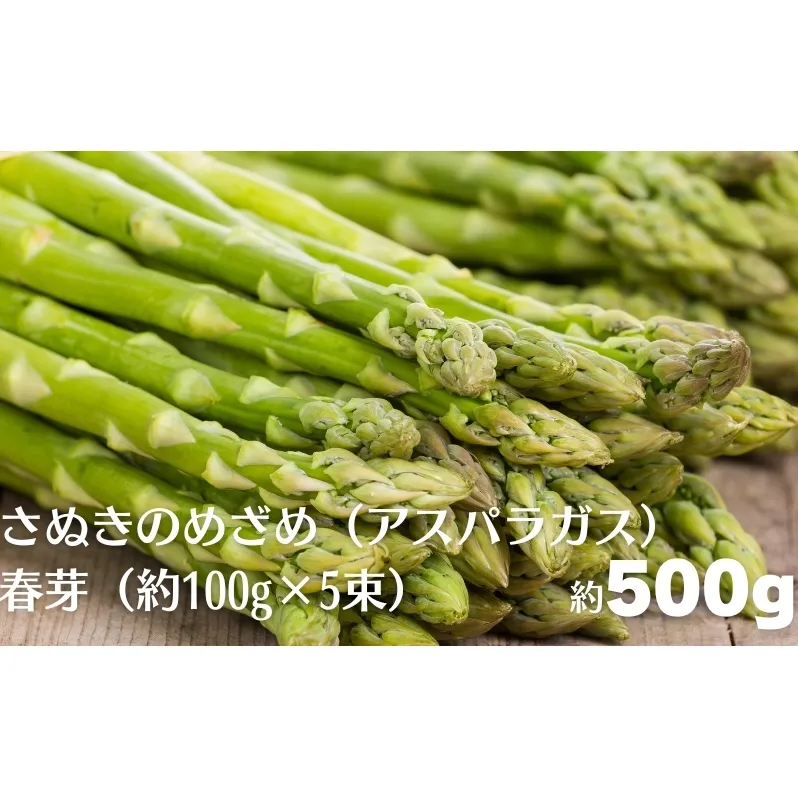 さぬきのめざめ（アスパラガス）春芽  約500g（約100g×5束） 野菜セット 旬野菜