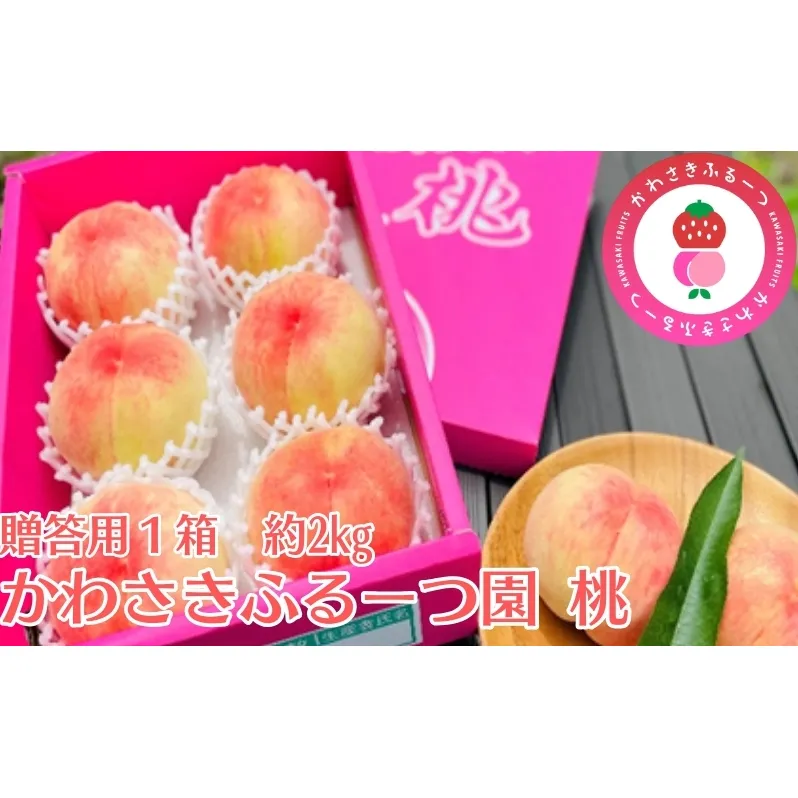 かわさきふるーつ園直送 桃 贈答用1箱　約2kg