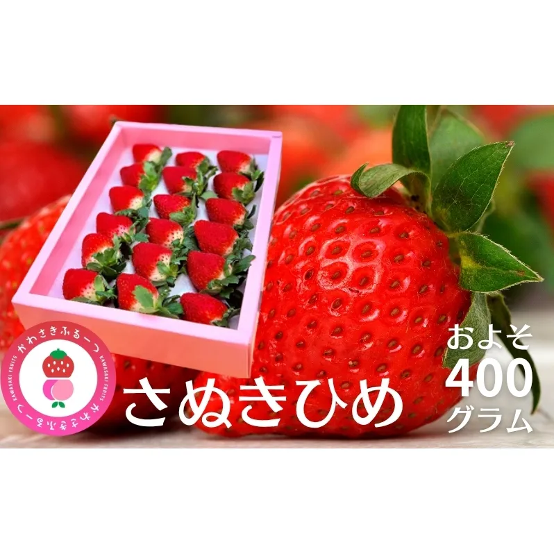 かわさきふるーつ園 直送 さぬきひめ 苺 約400g