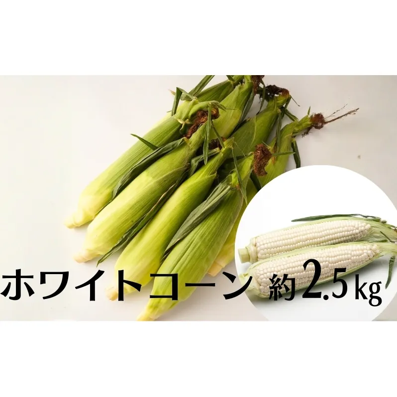 ホワイトコーン 約2.5kg