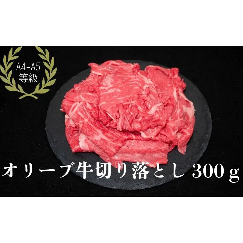 オリーブ牛切り落とし300g