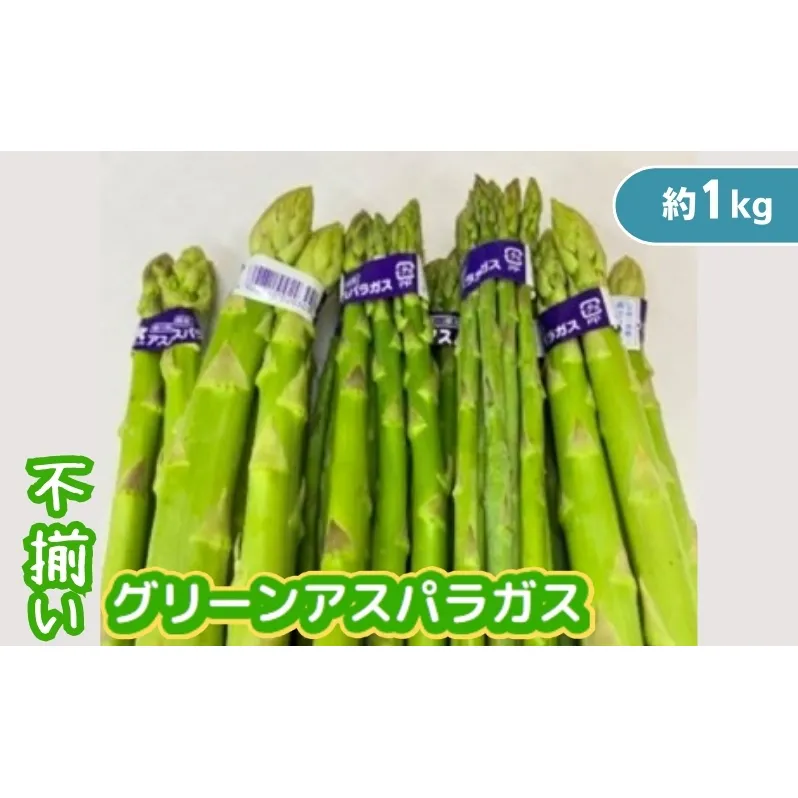 不揃い グリーン アスパラガス 約1kg 野菜 グリーンアスパラガス