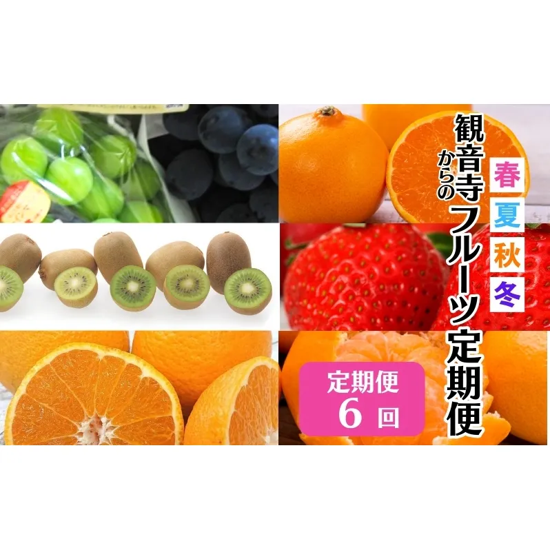 【2026年受付】 観音寺市からの特産フルーツ 定期便 年間6回