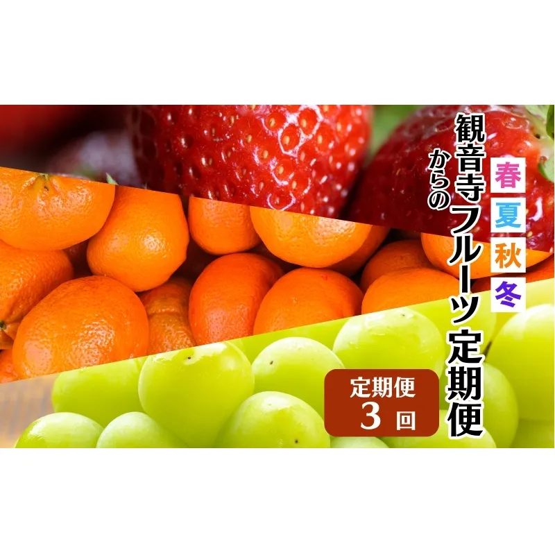 【2026年受付】 観音寺市からの特産フルーツ 定期便 年間3回