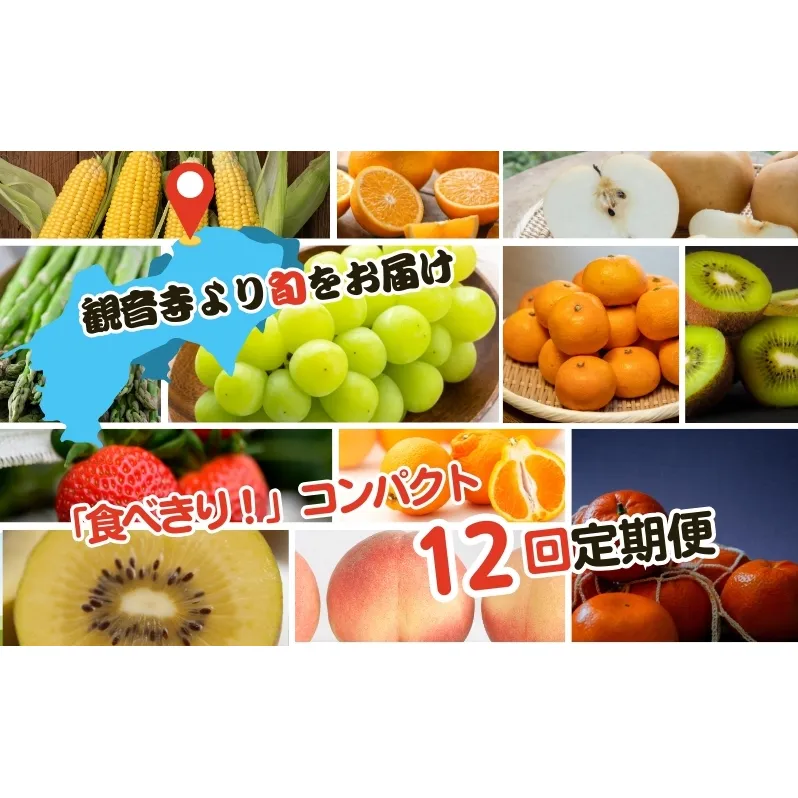 【2026年受付】ご家庭用 食べきり 旬菜旬果フルーツ定期便 全12回