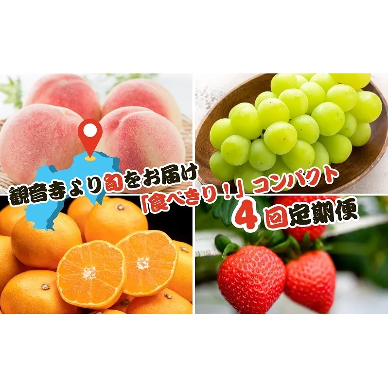 【2026年受付】ご家庭用 食べきり 旬果フルーツ定期便 全4回