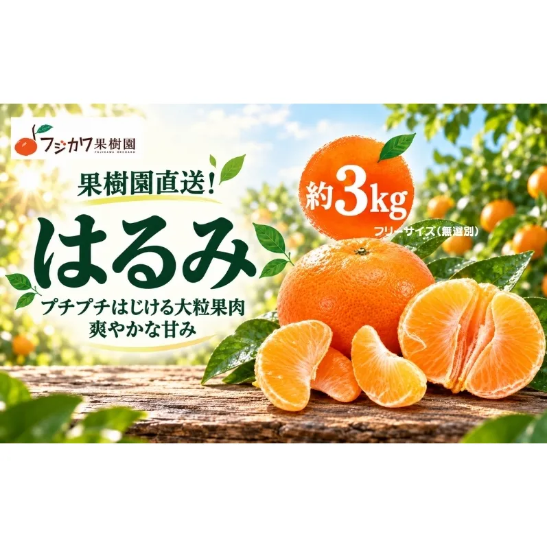 はるみ 約3kg みかん 柑橘類 果物 フルーツ
