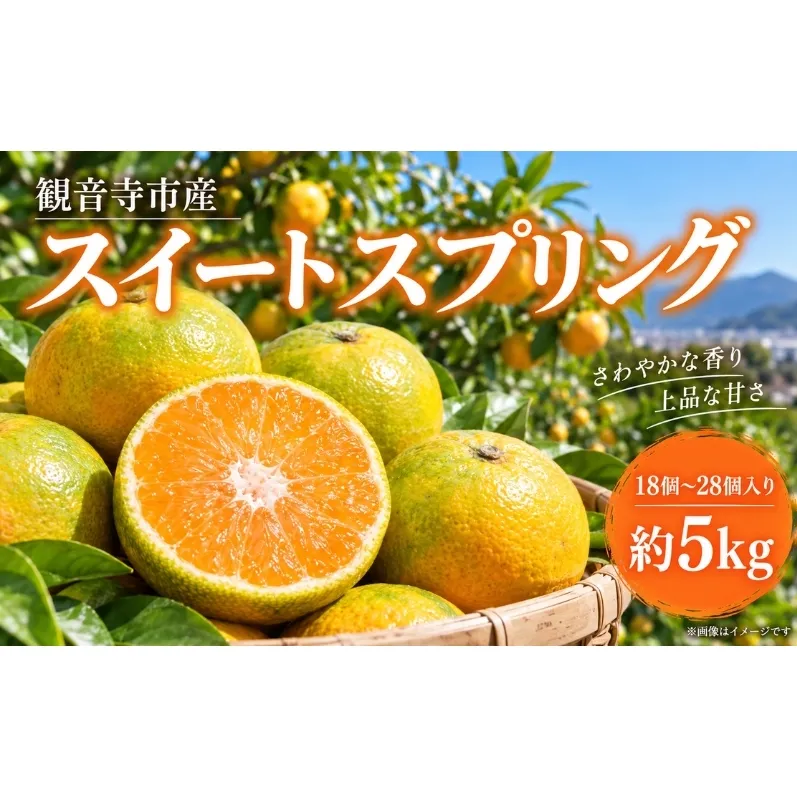 スイートスプリング 約5kg 果物類 みかん 柑橘類 フルーツ
