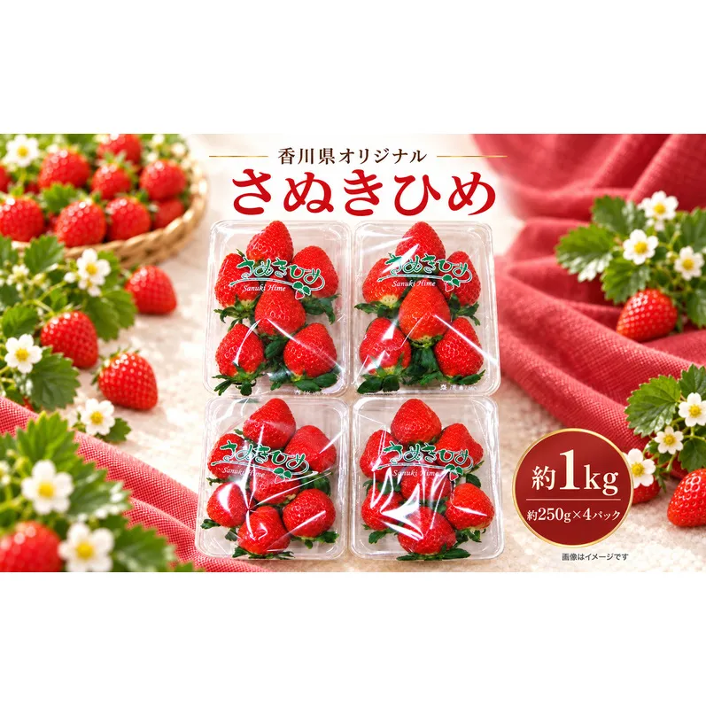 いちご「さぬきひめ」約1kg 果物類 いちご 苺 イチゴ フルーツ　