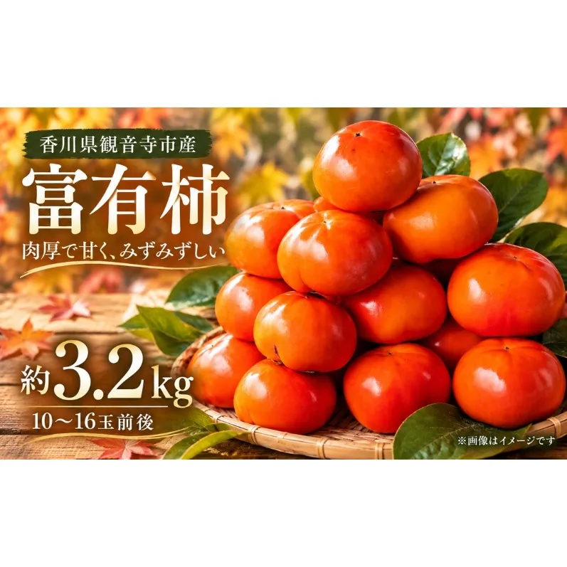 富有柿 柿 香川県産 国産 約3.2kg 10〜16玉 甘い 果汁が多い 肉厚 緻密 とろける食感 やわらかい 美しい色合い かき カキ ふゆうがき フルーツ 果物 くだもの 果物類 デザート おやつ 秋 五色青果 香川県 観音寺市