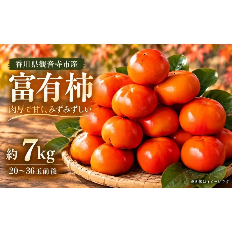 富有柿 柿 香川県産 国産 約7kg 20〜36玉 甘い 果汁が多い 肉厚 緻密 とろける食感 やわらかい 美しい色合い かき カキ ふゆうがき フルーツ 果物 くだもの 果物類 デザート おやつ 秋 五色青果 香川県 観音寺市