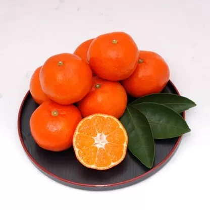 香川県オリジナル品種 小原紅早生 みかん 約5kg 果物類 みかん 柑橘類 フルーツ ミカン くだもの 