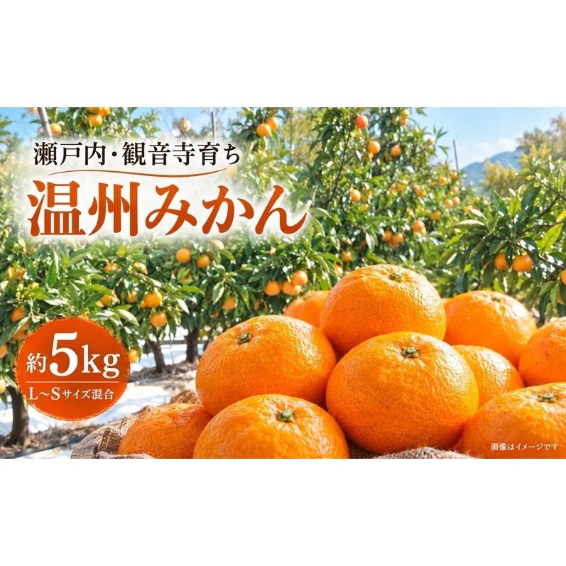 温州みかん 約5kg 果物類 柑橘類 フルーツ ミカン くだもの