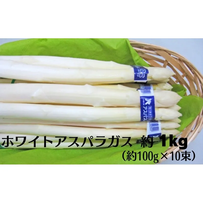ホワイトアスパラガス  約1kg 野菜