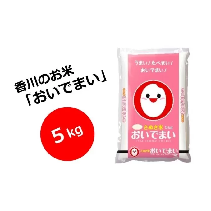 【令和5年産】　香川のお米　おいでまい　5kg_お米