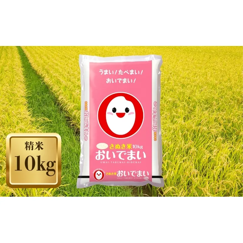 【令和7年産】　香川のお米 おいでまい 10kg お米 精米
