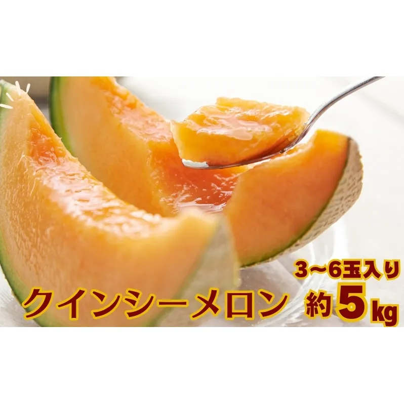 クインシー メロン（赤肉）約5kg 果物類 フルーツ メロン赤肉 
