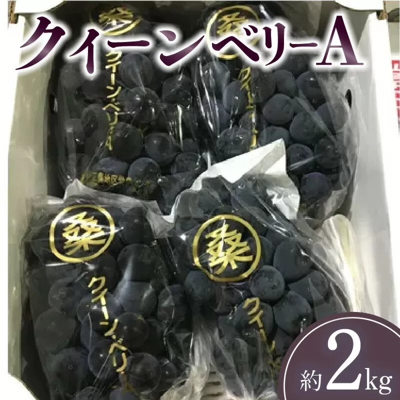 【ふるさと納税】【先行予約】 【配送不可地域：北海道・沖縄県・離島】 クイーンベリーA　約2kg