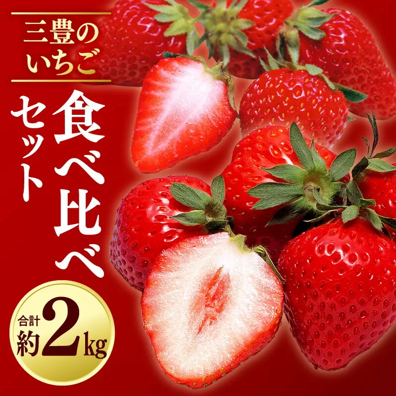 【ふるさと納税】 フルーツ デザート 果物 果実 さぬきひめ 女峰 年内発送 三豊 いちご 食べ比べ セット 約2kg 250g 4パック ギフト お土産 フルーツ王国  香川県 三豊市 お取り寄せ 送料無料  秋 旬