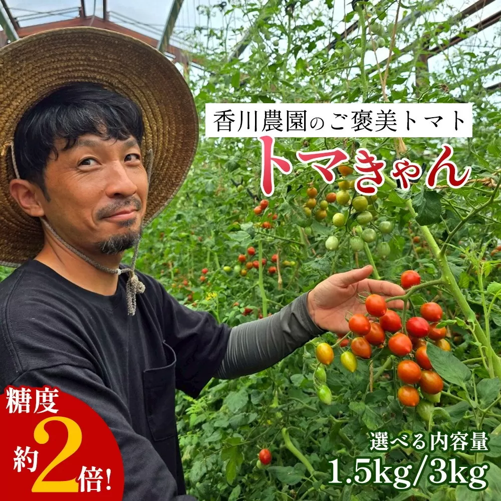 ミニトマト1.5kg