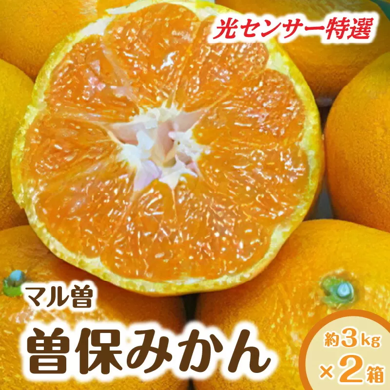 【ふるさと納税】【先行予約】【配送不可地域：北海道・沖縄県・離島】みかん 曽保みかん 光センサー選別 約3kg×2箱 L～Sサイズ フルーツ 果物 果実 柑橘 デザート スイーツ 甘い 糖度 果汁 常温 食品 国産 香川県 三豊市 お取り寄せ 送料無料