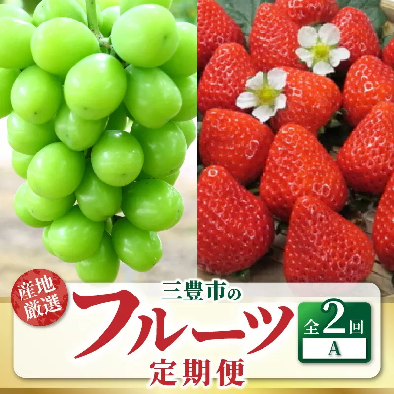 【ふるさと納税】【配送不可地域：北海道・沖縄県・離島】定期便 フルーツ 2回 お届け シャインマスカット 大粒 1房 800g以上 糖度17度以上 さぬきひめ いちご 約1kg 以上 旬の果物  お取り寄せ 市場直送 フルーツ王国 三豊 三豊市産 送料無料  秋 旬