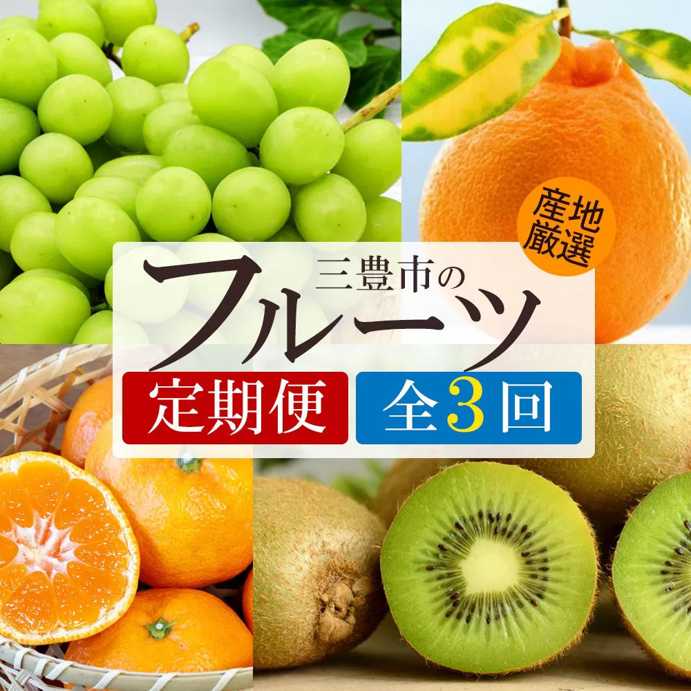 【3回定期便】シャインマスカットと グリーンキウイ・旬のフルーツ (温州みかん早生)
