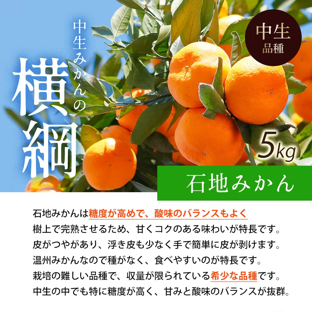 【ふるさと納税】【配送不可地域：北海道・沖縄県・離島】石地みかん 晩生みかん 選べる 2.5kg～10kg 朝摘みの甘さをそのままに 香川の石地ミカン 香川の晩生ミカン 2.5kg~10kgの太陽 香川からの新鮮な味わい 三豊市産石地ミカン 三豊市産晩生ミカン 5kg 10kg ミカン 蜜柑